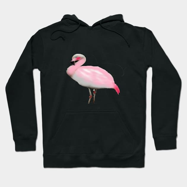 flamingo Hoodie by Tabitha Kremesec 